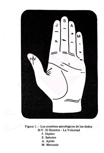 Libro Quiromancia Practica Como Leer Las Lineas De La Mano