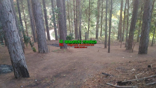 Sitio 30 Mil M² Rico Em Água Em Redenção Da Serra - 1872