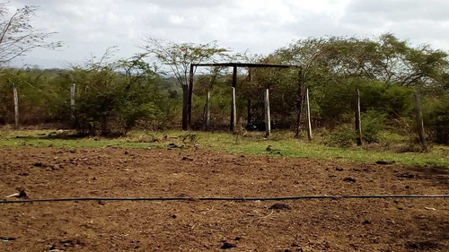 Imagen 25 de 30 de Finca En Mirimire Estado Falcon De 941 Hectáreas