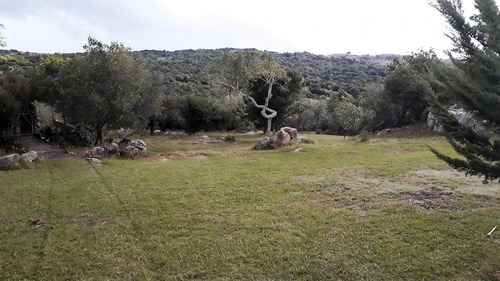 Chacra En Ruta 39