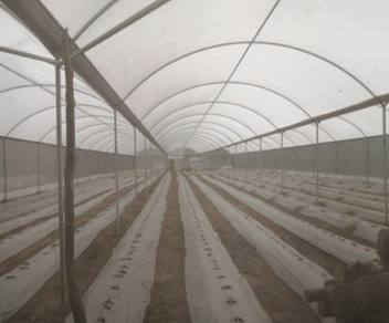 Imagen 1 de 12 de Venta Terreno Yautepec Morelos