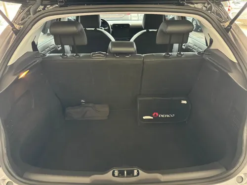 C4 Cactus Shine
