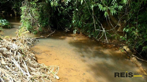 Imagem 5 de 30 de Sítio À Venda, 10000 M² Por R$ 250.000,00 - Piedade - Piedade/sp - Si0017