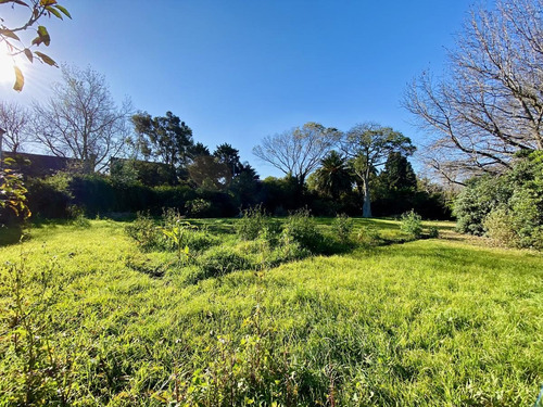 Imagen 2 de 7 de Excelente Lote Terreno En Venta En Martinez - Libertador Al Rio
