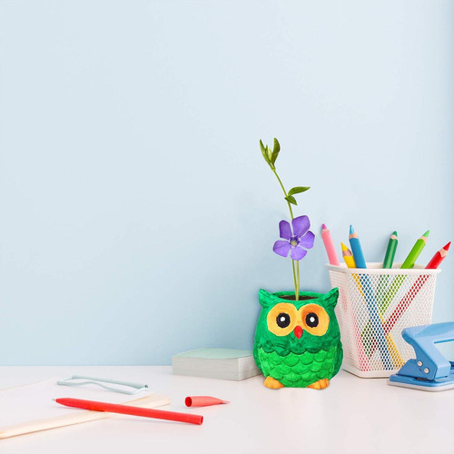 Kit De Macetas Cerámicas Winlyn 6 Búhos Para Pintar