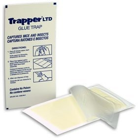 Trapper Ltd Insect-ratón Pegamento Tableros/12 Tableros