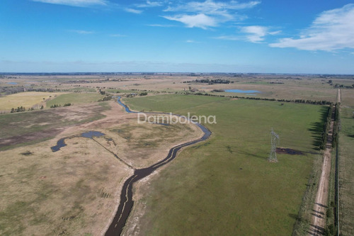 Imagen 15 de 26 de Terreno Fraccion En Venta Ubicado En Cañuelas, Resto De La Provincia, Buenos Aires