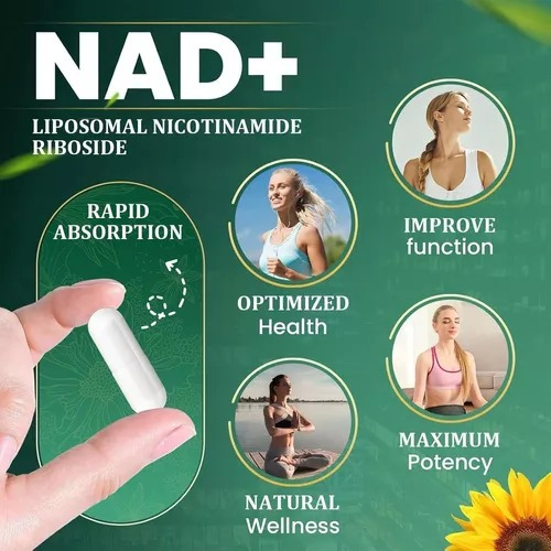 Nicotinamida Ribosida Liposomal Con Resveratrol Y Quercetina Suplementos Elfleaf Nad Alta Pureza 80 Cápsulas Verde