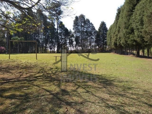 Cód 2849 - Sitio Com 8 Alqueires, Pé No Asfalto!!! - 2849