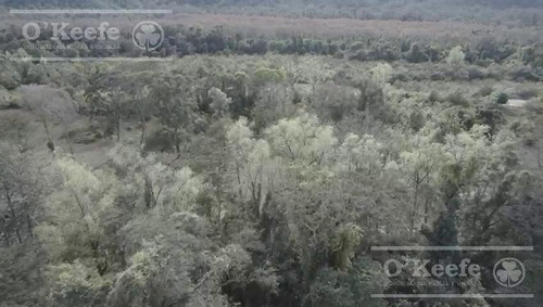 Imagen 6 de 11 de Campo - San Ramon De La Nueva Oran
