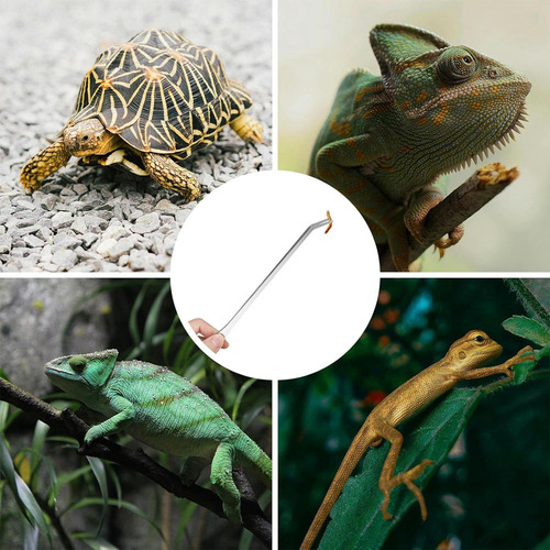 Juego De 2 Pinzas De Alimentación Para Reptiles, Pinzas