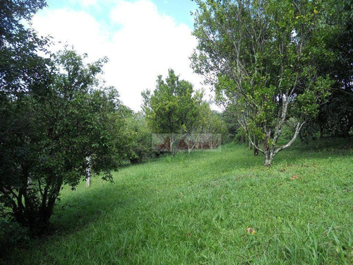 Imagem 12 de 30 de Chácara Rural À Venda, Sousas, Campinas. - Ch0024