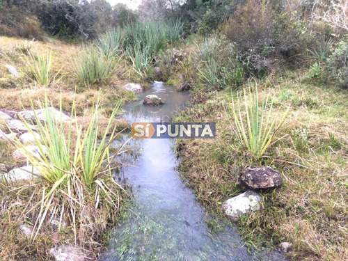 Imagen 8 de 8 de Campo En Venta, Paraje La Coronilla, Maldonado
