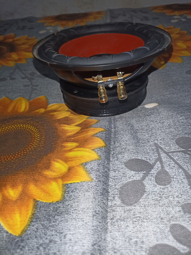 Subwoofer Xtasis De 6.5 Pulgadas Negro (Usado)