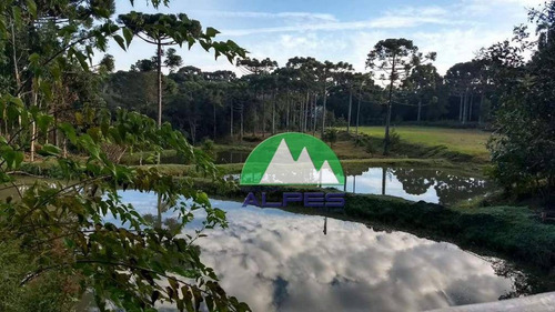 Chácara Residencial À Venda, Zona Rural, Agudos Do Sul. - Ch0020