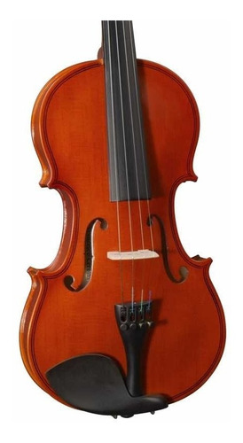 Violin Cervini Hv100 4/4 Estuche Arco Y Resina