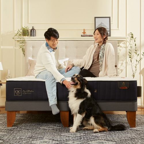 Cama Europea Azul