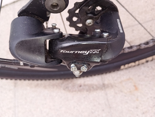 Raleigh R29 2025
