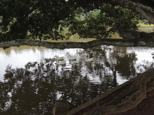 Terreno À Venda Em Parque Modelo - Te005416