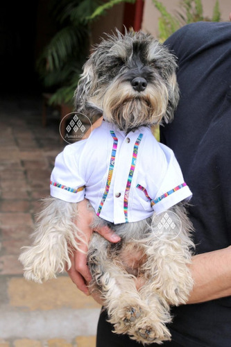 Guayabera Mexicana Para Perro Modelo Lineasyucateca