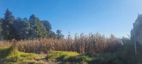 Se Vende Terreno En Metepec