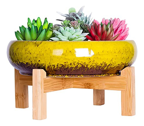 Large Succulent Pot With Drainage, 10 Inch Round Succul...