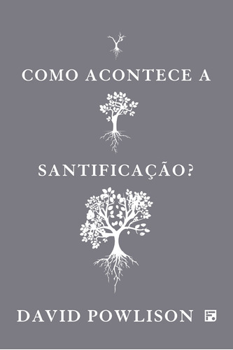 Como acontece a Santificação?, de Powlison, David. Editora Missão Evangélica Literária, capa mole em português, 2018