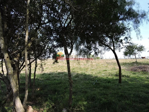 Chacra En Venta Los Cerrillos, 1 Has Con Casa De Dos Dormitorios