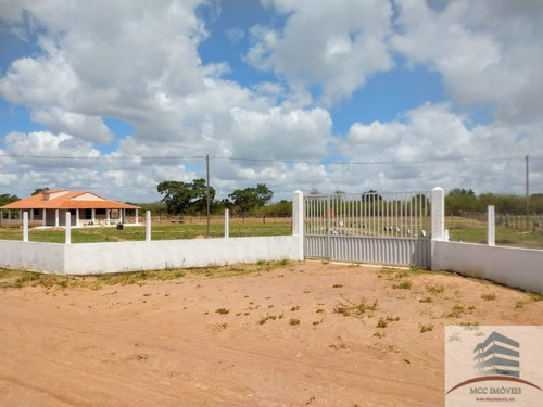 Imagem 1 de 30 de Granja A Venda Em Macaíba