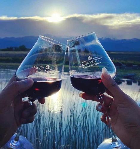 Imagen 8 de 9 de Vino Malbec Roca Volcánica Petrini Exclusivo Calidad Caja X6
