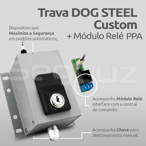 Imagem 2 de 8 de Kit Trava Elétrica Dog Ppa Portão Eletrônico + Suporte Fácil