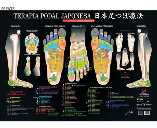 Pôster Mapa Reflexologia Podal Profissional - B1 100x70cm