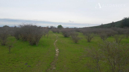 Sitio En Venta En San Javier