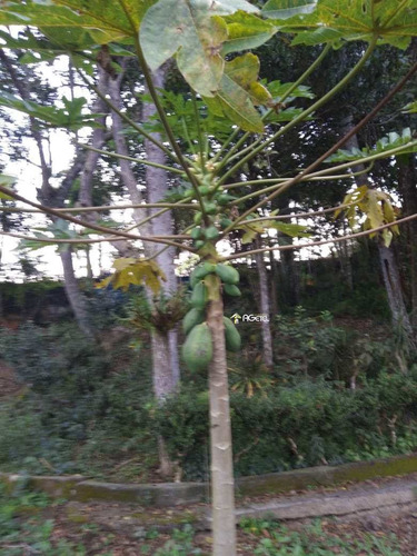 Chácara Com 1 Dorm, Chácara Lidia Maria, Embu-guaçu - R$ 430 Mil, Cod: 2046 - V2046