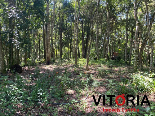 Imagem 7 de 15 de Chacara - Mandirituba - Ref: 69201483 - V-vit4842