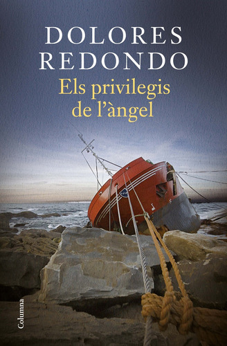 Livro Fisico - Els Privilegis De L'àngel