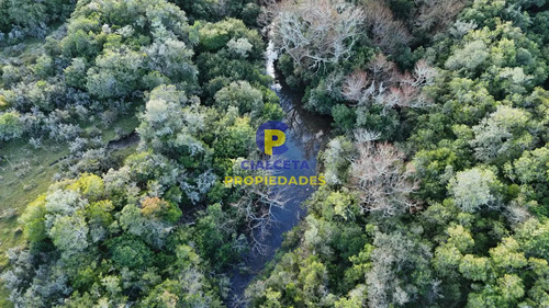 3 Hectáreas En Pueblo Edén Con Arroyo Y Monte Nativo