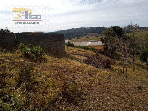 Imagem 4 de 6 de Chácara Em Rodovia Capitão Barduino Km 111 - Pinhalzinho - 1755