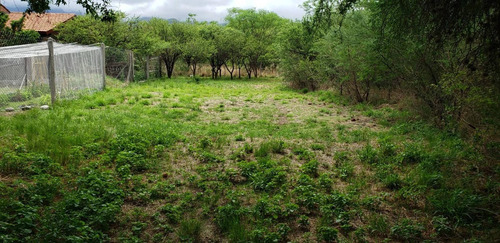 Imagen 7 de 10 de Lote Para Animarse Al Gran Cambio!!! 550 Mt2 Servicios