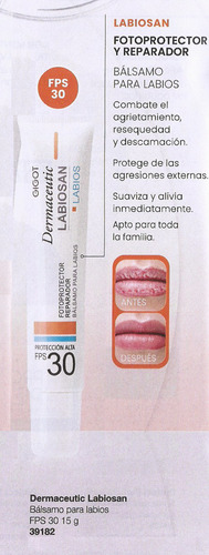 Gigot Dermaceutic Labiosan Balsamo Protec Labios 15 Gr