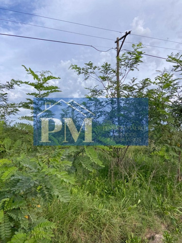 Terrenos En Venta