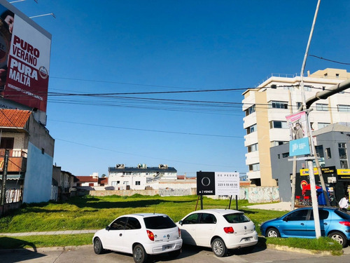 Imagen 14 de 14 de Alquiler - Espectacular Lote De 485m2 Sobre Av. Constitución