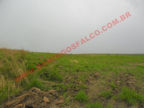 Imagem 8 de 14 de Venda - Área - Zona Rural - Nova Odessa - Sp - D7830