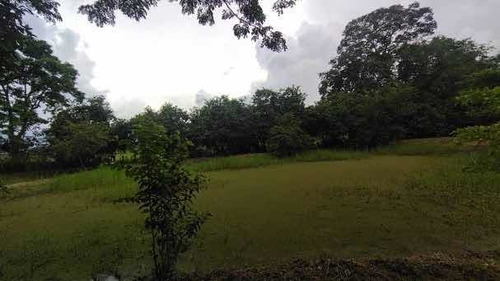 Imagen 9 de 14 de Baja De Precio... En Venta Finca En El Municipio Montalban - Carabobo