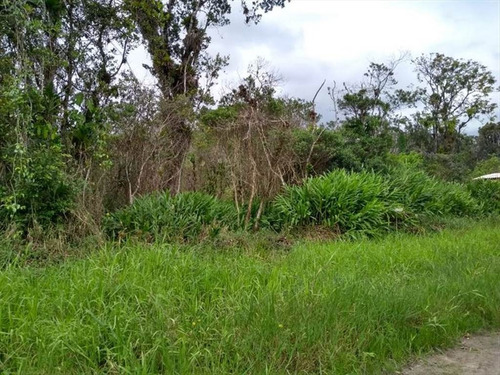 Imagem 1 de 8 de Terreno - Venda - Indaia - Itanhaem - Ita2701