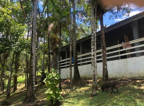 Imagem 8 de 15 de Chacara Com Piscina Em Morretes Parana - Ch0004-1