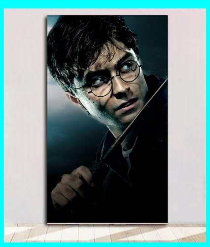 Cuadro  Pelicula Harry Potter And The Order Of The Phoenix