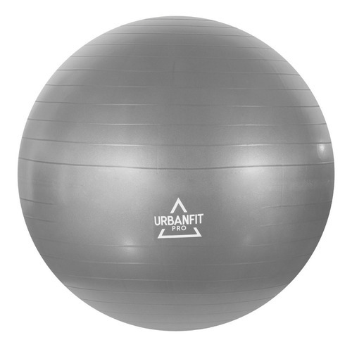 Pelota De Yoga 75 Cm Soporta 450 Kg Crossfit Color Plateado