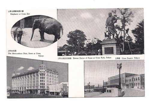 Postal Vintage Japon Zoologico Ueno Elefante 316 B3