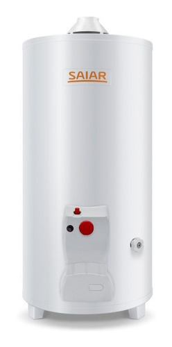 Termotanque A Gas De Pie Saiar By Rheem Tpg050msa 50 Litros